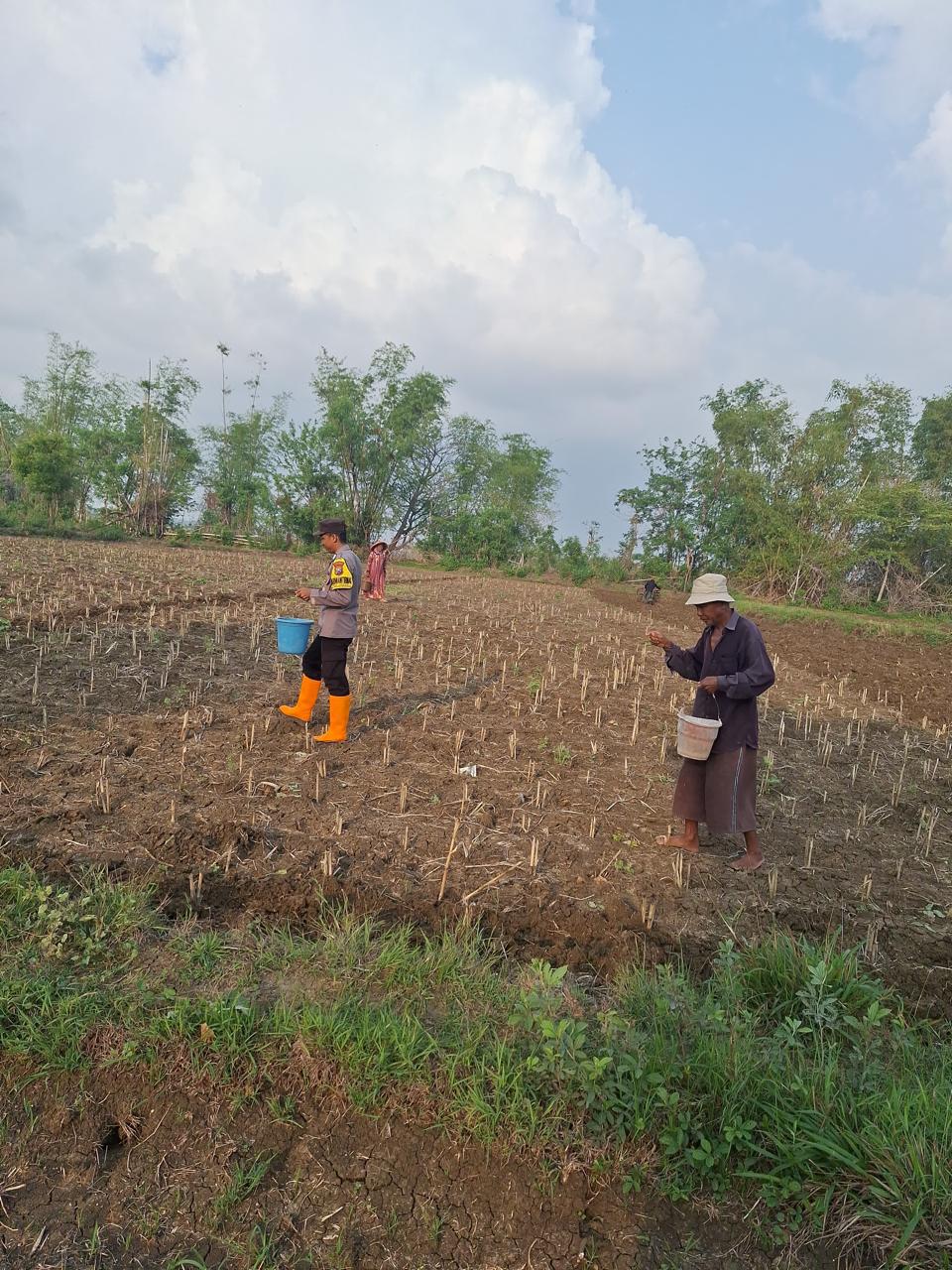 WhatsApp Image 2026-06-12 at 09.21.45